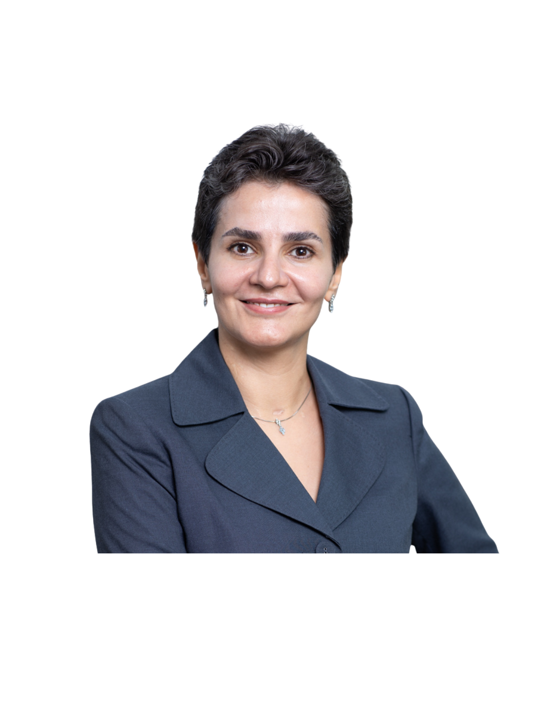 Mentor Strategy & Governance